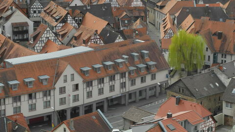Das Bild zeigt eine Stadt. Man sieht auf die roten Dächer und Fachwerkhäuser. Rechts im Bild steht ein einzelner grüner Baum. 