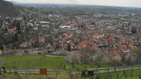 Das Bild zeigt eine Stadt von oben. Im Vordergrund erkennt man grüne Wiesen und blühende Obstbäume. Eine große Kirche ist zu erkennen.