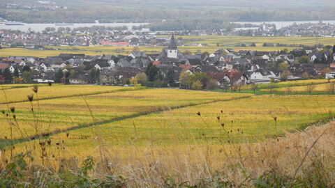 Dorf im Rheingau Im Vordergrund des Bildes sieht man gelbblühende Rapsfelder. Ein Dorf ist in der Mitte mit einem Kirchturm zu sehen. Dahinter erkennt man ein weiteres Dorf, dass an einem Fluss liegt.