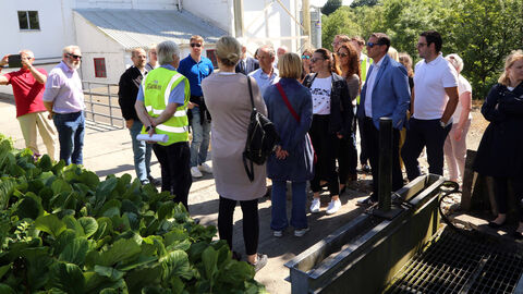 Personen auf Weg, zu beiden Seiten grüne Pflanzen, im Hintergrund weißes Gebäude