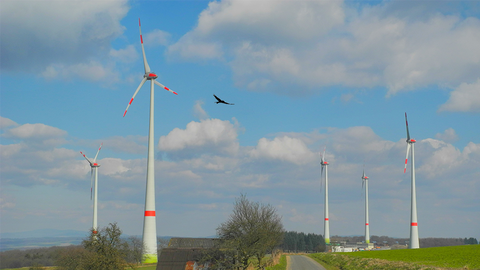 Windräder, in der Mitte fliegt ein Rotmilan