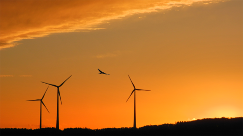 Windräder in der Abendsonne