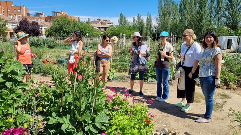 Study Visit Valladolid, Nordspanien Juni 2022 20220629_115930- Study Visit Valladolid Nordspanien Juni 2022 Urban Gardens