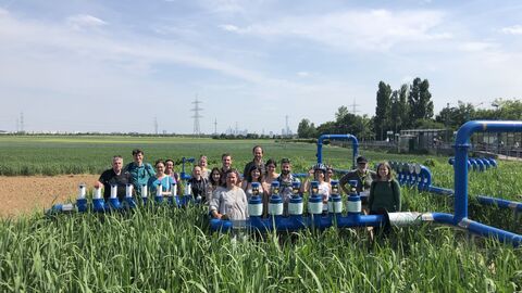 Agrarkulturachse, Oberursel Menschen im Maisfeld