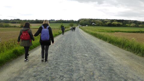 Weg zwischen Feldern und wandernden Personen in Rückansicht